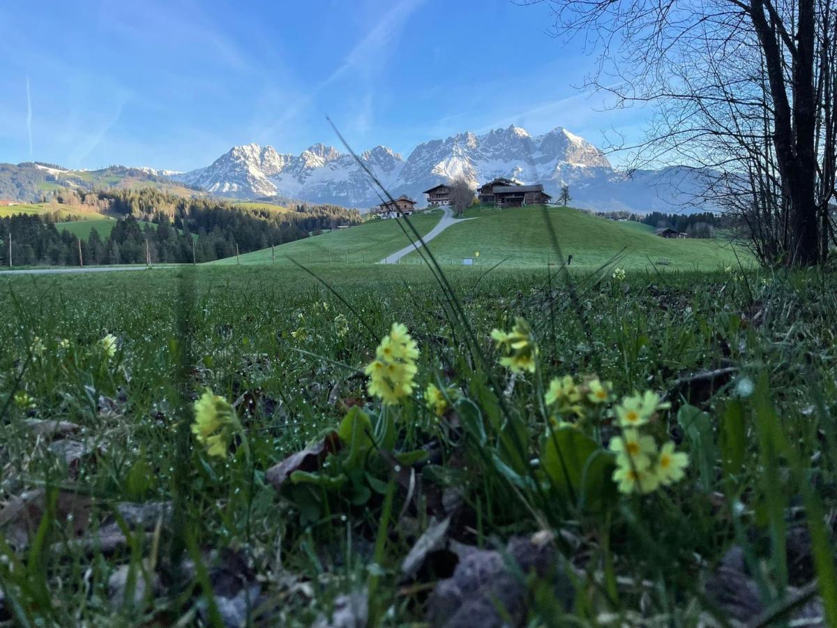 Mountain Vista - Bio Yoga Hof Leilighet Kitzbühel Eksteriør bilde